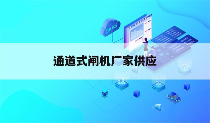 通道式闸机厂家供应