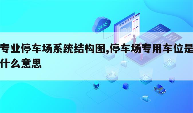 专业停车场系统结构图,停车场专用车位是什么意思