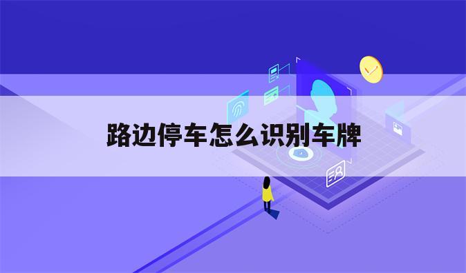 路边停车怎么识别车牌