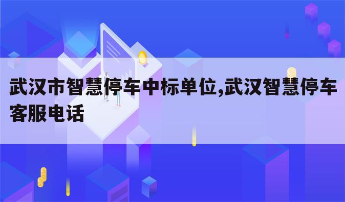 武汉市智慧停车中标单位,武汉智慧停车客服电话