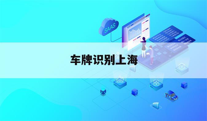 车牌识别上海