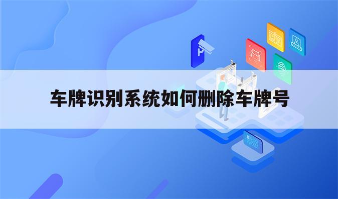 车牌识别系统如何删除车牌号