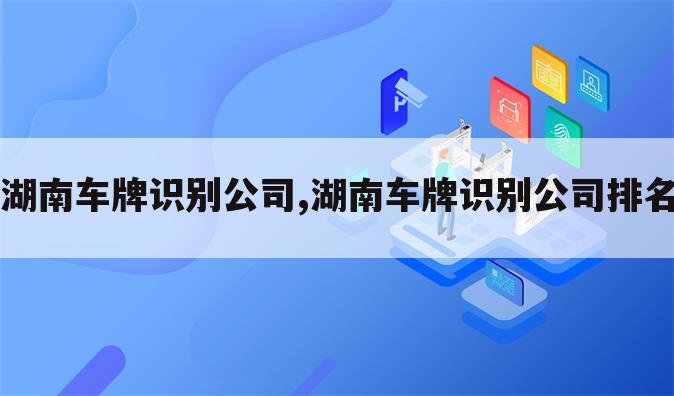 湖南车牌识别公司,湖南车牌识别公司排名