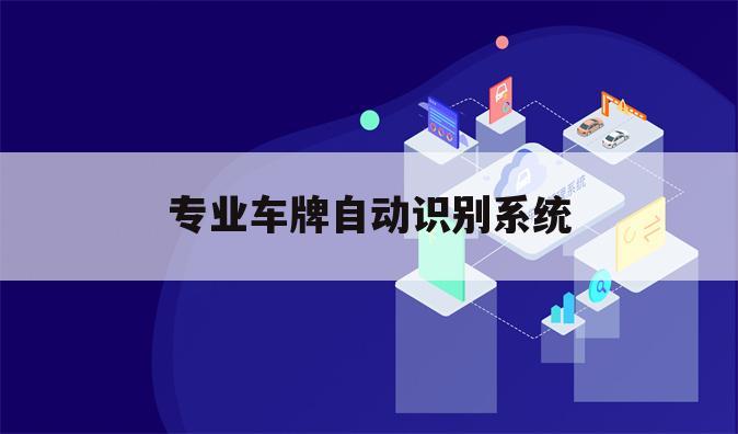 专业车牌自动识别系统