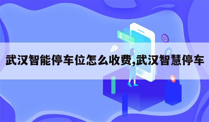 武汉智能停车位怎么收费,武汉智慧停车