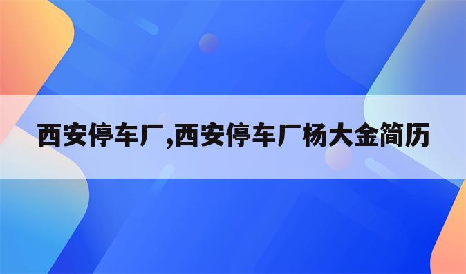 西安停车厂,西安停车厂杨大金简历