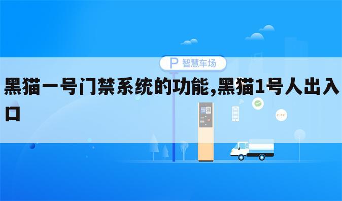黑猫一号门禁系统的功能,黑猫1号人出入口