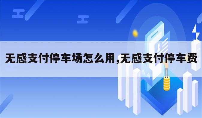 无感支付停车场怎么用,无感支付停车费