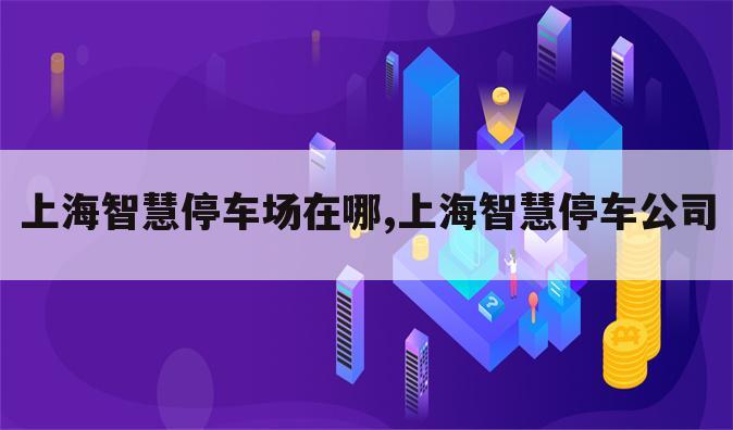 上海智慧停车场在哪,上海智慧停车公司