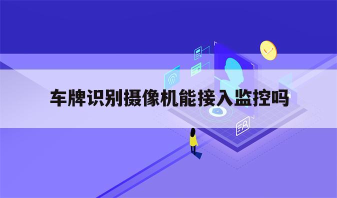 车牌识别摄像机能接入监控吗