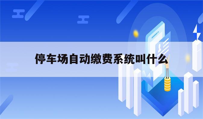停车场自动缴费系统叫什么
