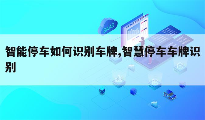 智能停车如何识别车牌,智慧停车车牌识别