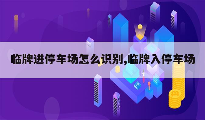 临牌进停车场怎么识别,临牌入停车场