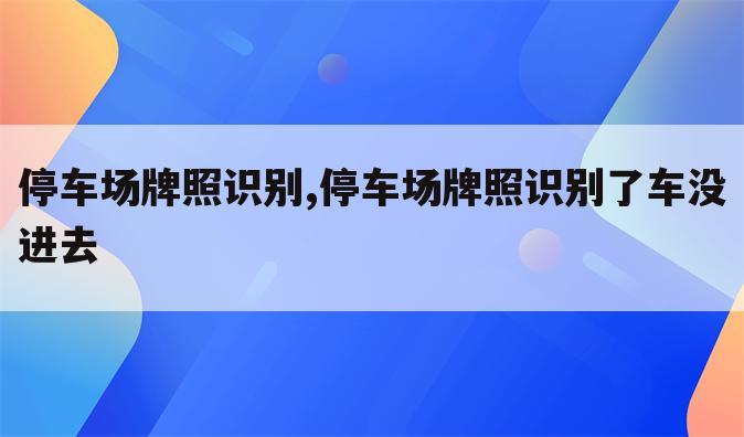 停车场牌照识别,停车场牌照识别了车没进去