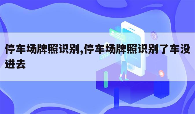 停车场牌照识别,停车场牌照识别了车没进去